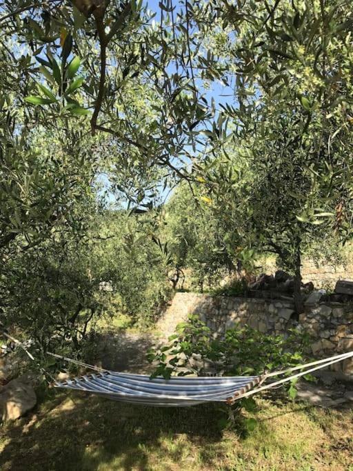 Villa Berio Due - Tuija Villa Viani Kültér fotó