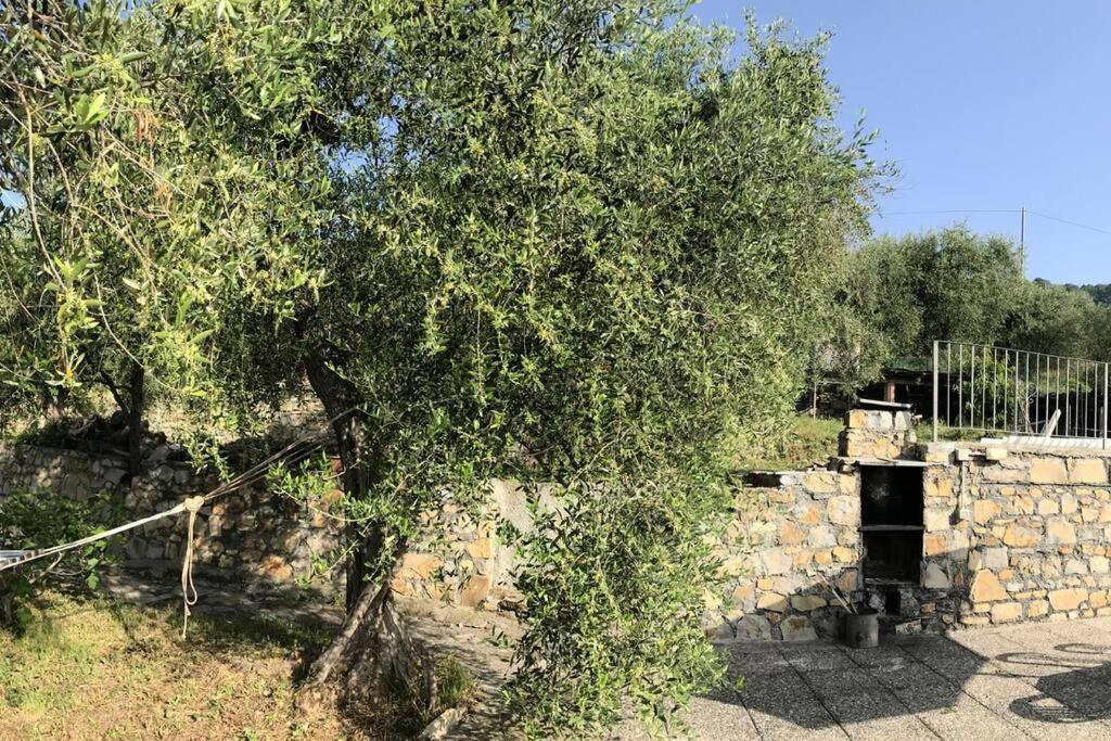Villa Berio Due - Tuija Villa Viani Kültér fotó
