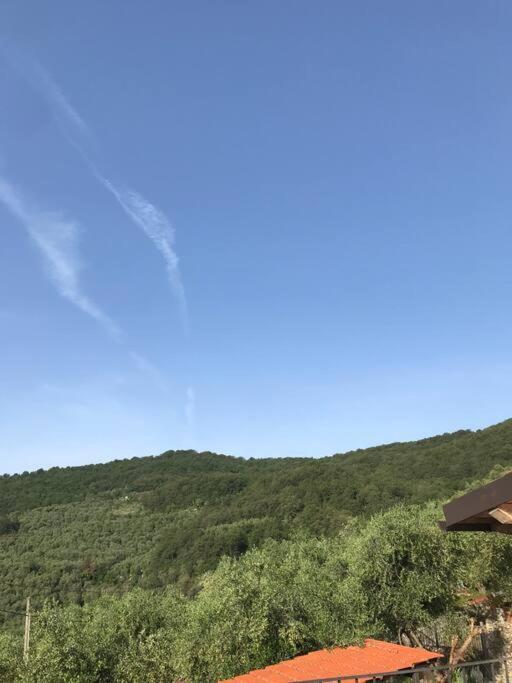 Villa Berio Due - Tuija Villa Viani Kültér fotó